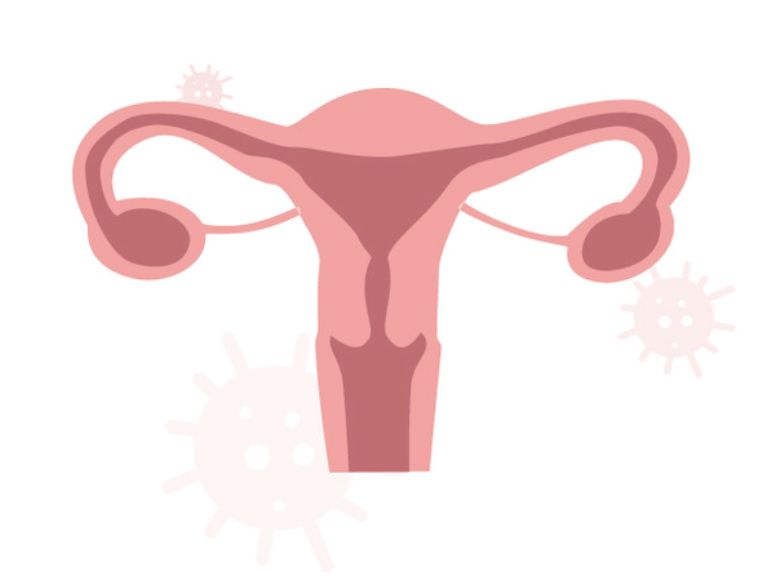 자궁경부암 검진 이미지